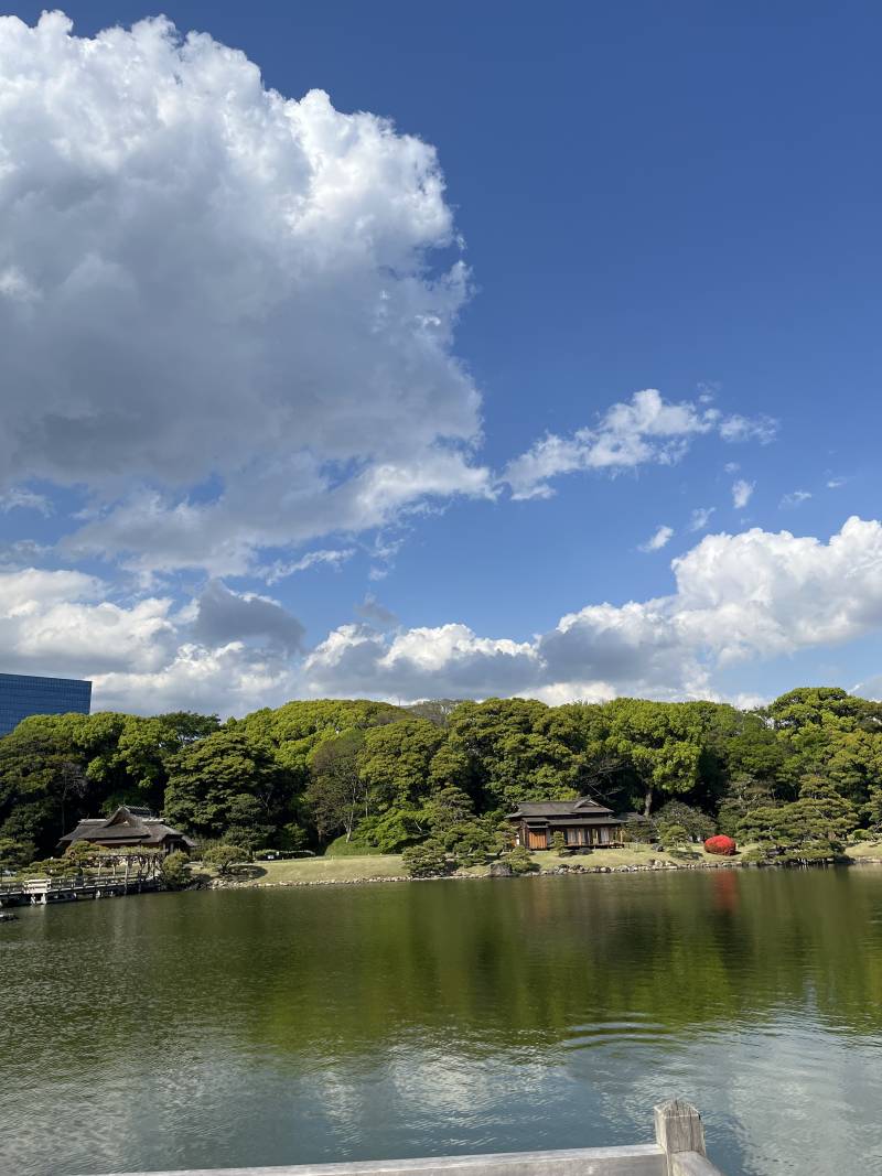 [잡담] 도쿄 여행 계획 있는 익인들 중에 자연을 좋아하고 한적한 분위기 좋아하면 온시정원 추천할게 | 인스티즈
