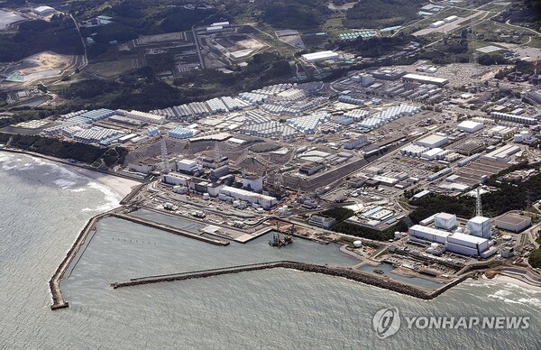일본 자료도 '후쿠시마 수산물 세슘 범벅'…"한국 정부 뭐하나" | 인스티즈