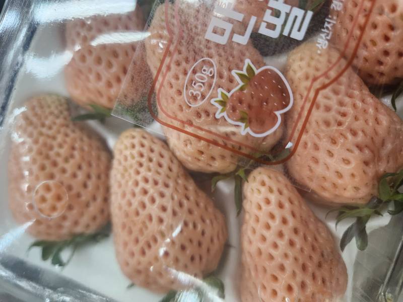 [잡담] 하얀색 딸기 맛있어?(환공포증 주의?) | 인스티즈