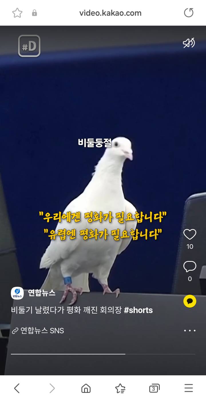 [잡담] 국제회의하는데 평화를 위해 하얀 비둘기 날려보내면 이해할 수 있어? | 인스티즈