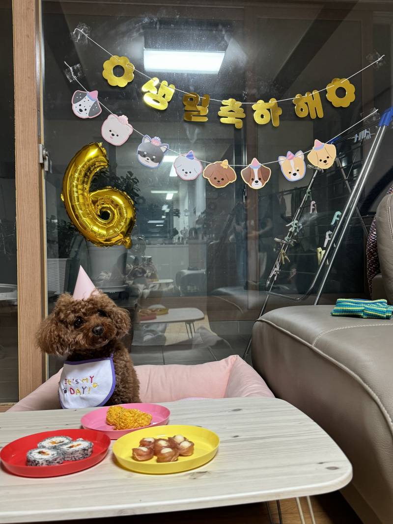 [잡담] 오늘 우리 강아지 생일이야!!! | 인스티즈