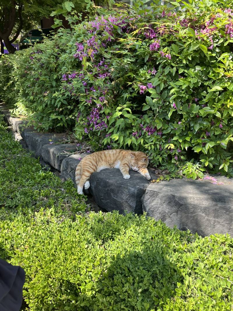 [잡담] 오늘 어떤 사람이 길을 안가고 가만히있는거야 | 인스티즈