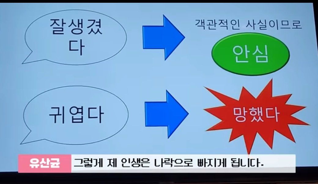 [잡담] 소희야 나는 망했어요 | 인스티즈