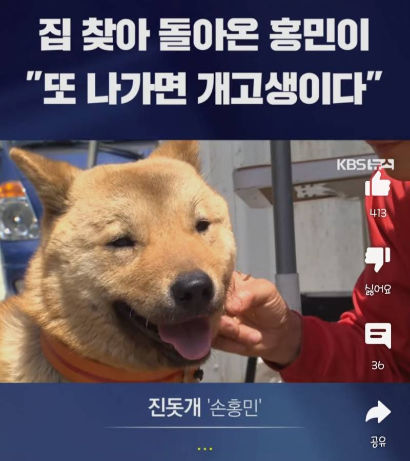 [잡담] 아놔 완전 똑똑해ㅜㅜ진돗개 "손홍민"군?양?... | 인스티즈