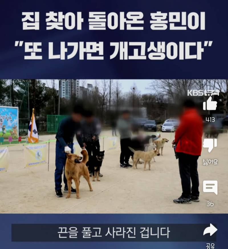 [잡담] 아놔 완전 똑똑해ㅜㅜ진돗개 "손홍민"군?양?... | 인스티즈