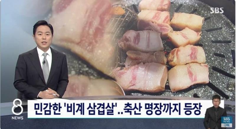 [잡담] 일부 비계 삼겹살 파는 염치없는 자영업자레기 때문에 지금 축산업 난리남 | 인스티즈