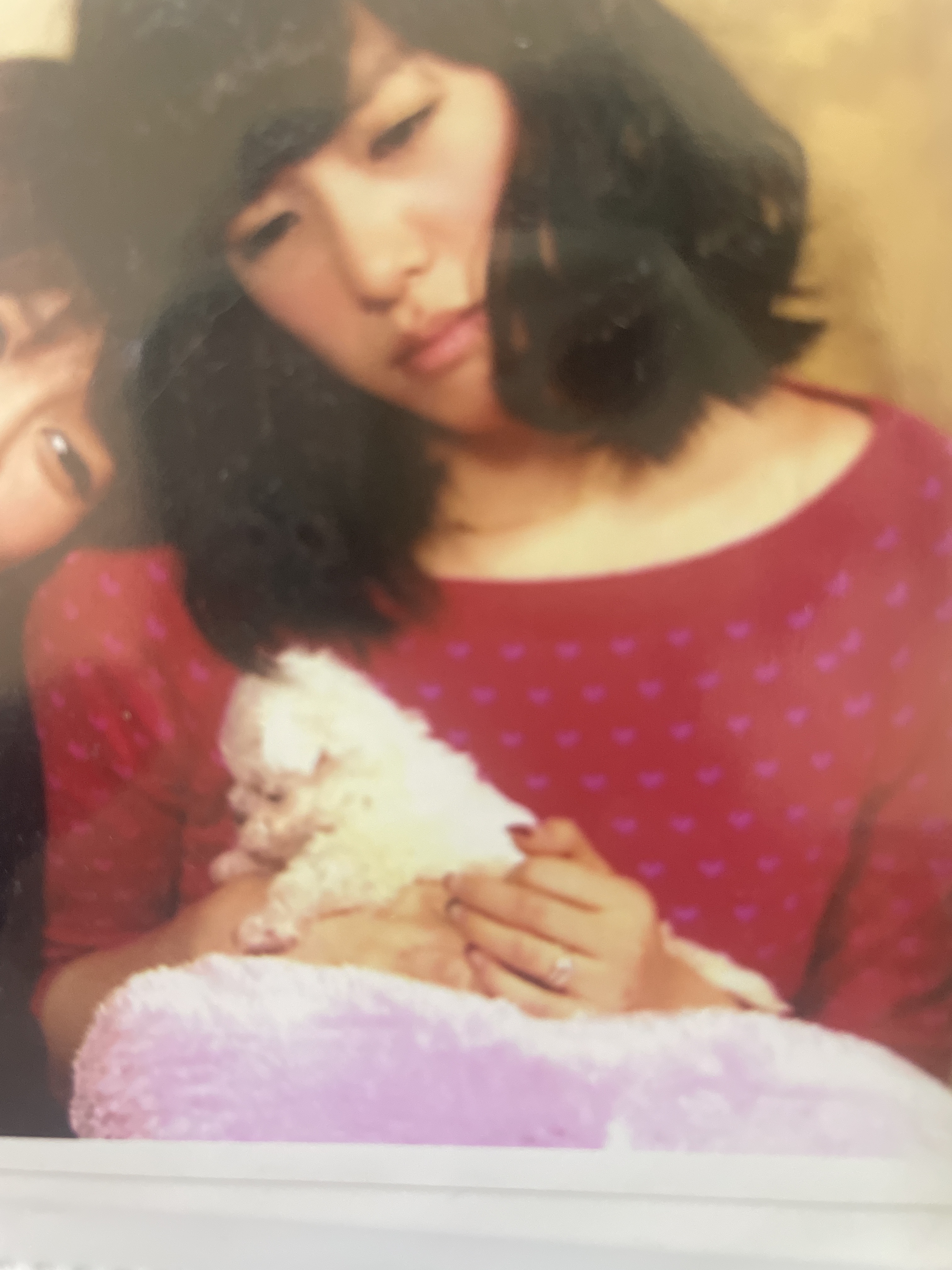 [잡담] 티파니가 안고있는 아기 강쥐 겁나 귀엽다.. | 인스티즈