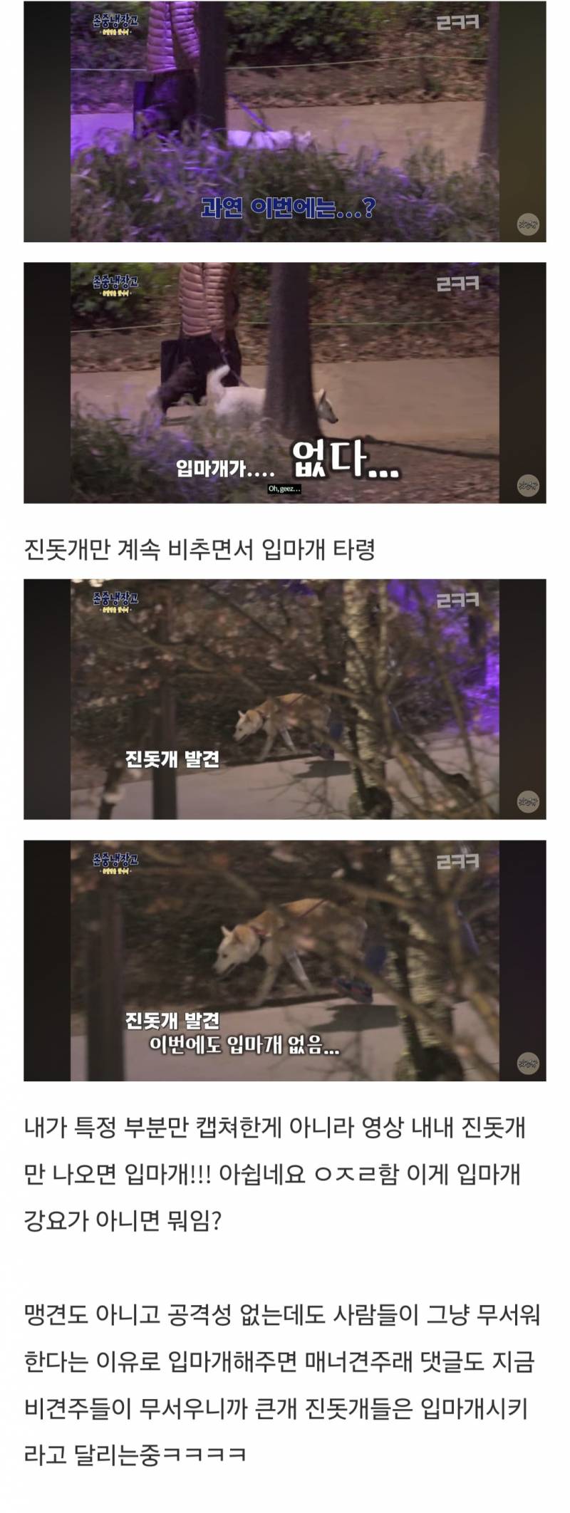 진돗개 견주 분 몰카찍어서 입마개 운운한 이경규 유튜브 방송 | 인스티즈