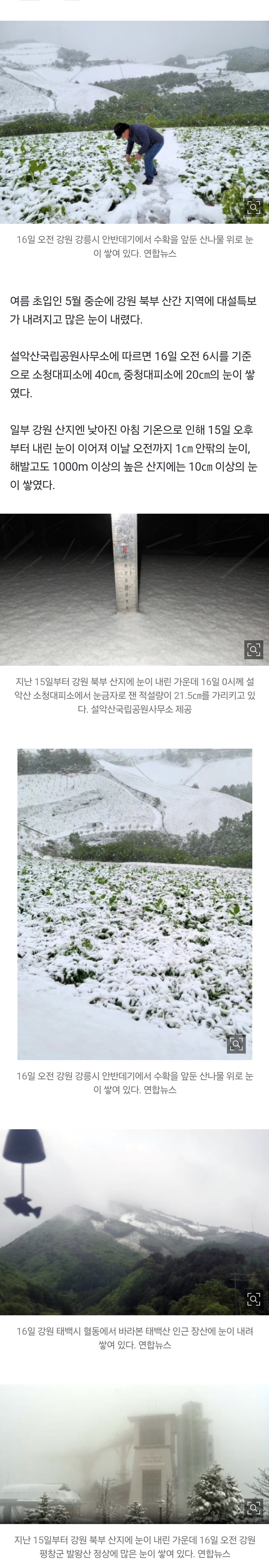 [정보/소식] [포토] 5월 중순인데…설악산 대피소에 40㎝ '눈'이 쌓였다 | 인스티즈