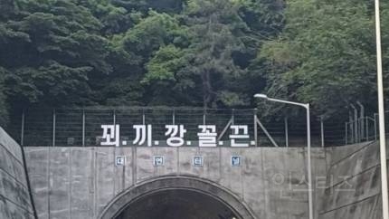 부산 대연터널 "꾀끼깡꼴끈” 등장 | 인스티즈