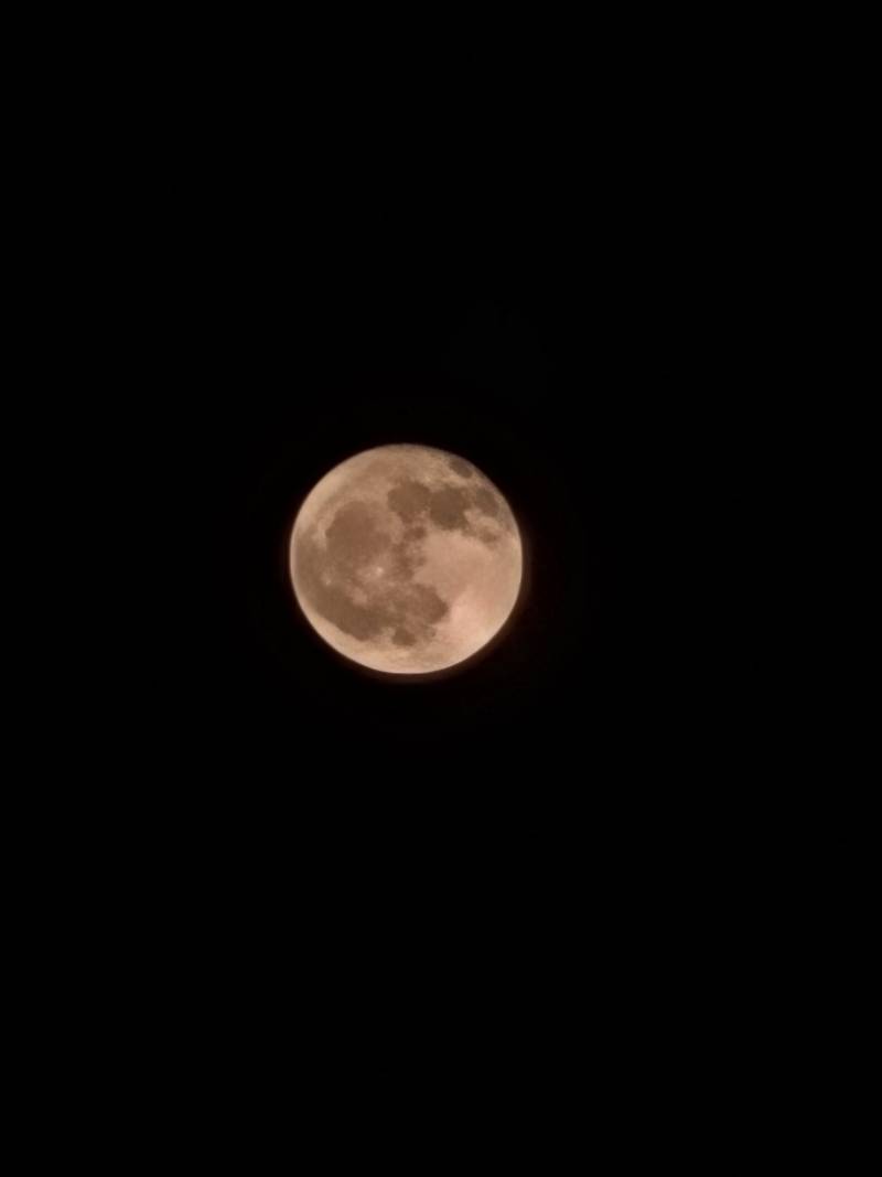 [잡담] 실시간 밤하늘 보름달.jpg | 인스티즈