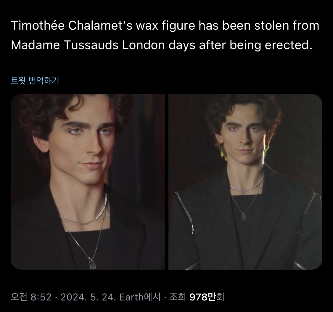 [잡담] 헐 런던 마담투소에 있던 티모시 밀랍인형 도난당했나봐 | 인스티즈