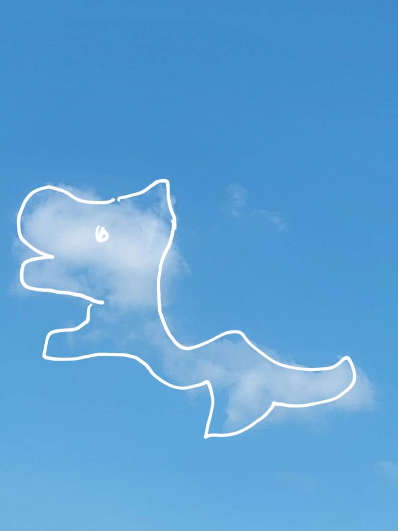 [잡담] 강아지 모양 구름 같아 | 인스티즈