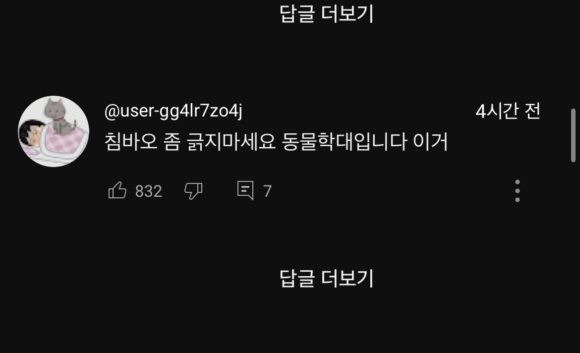 [잡담] 침착맨 4시간 방송 댓글 진자 개웃김 | 인스티즈