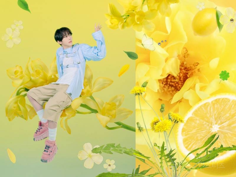 엔시티 위시 NCT WISH 【Songbird - 2nd Single】 Teaser Image 사쿠야 시온 료 KOR&Global Release ➫ 2024.07.01 (KST) | 인스티즈