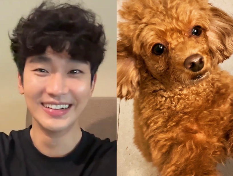 [잡담] 둘 중에 누가 강아띠게 ㅈㅇ 김수현 | 인스티즈