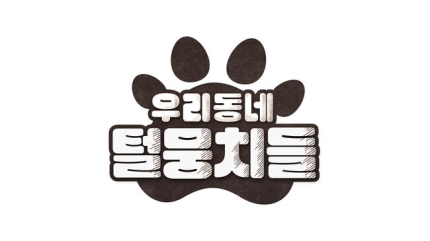 [정보/소식] 정재형X혜리X신규진, MBC '우리동네 털뭉치들' 출연 [공식] | 인스티즈