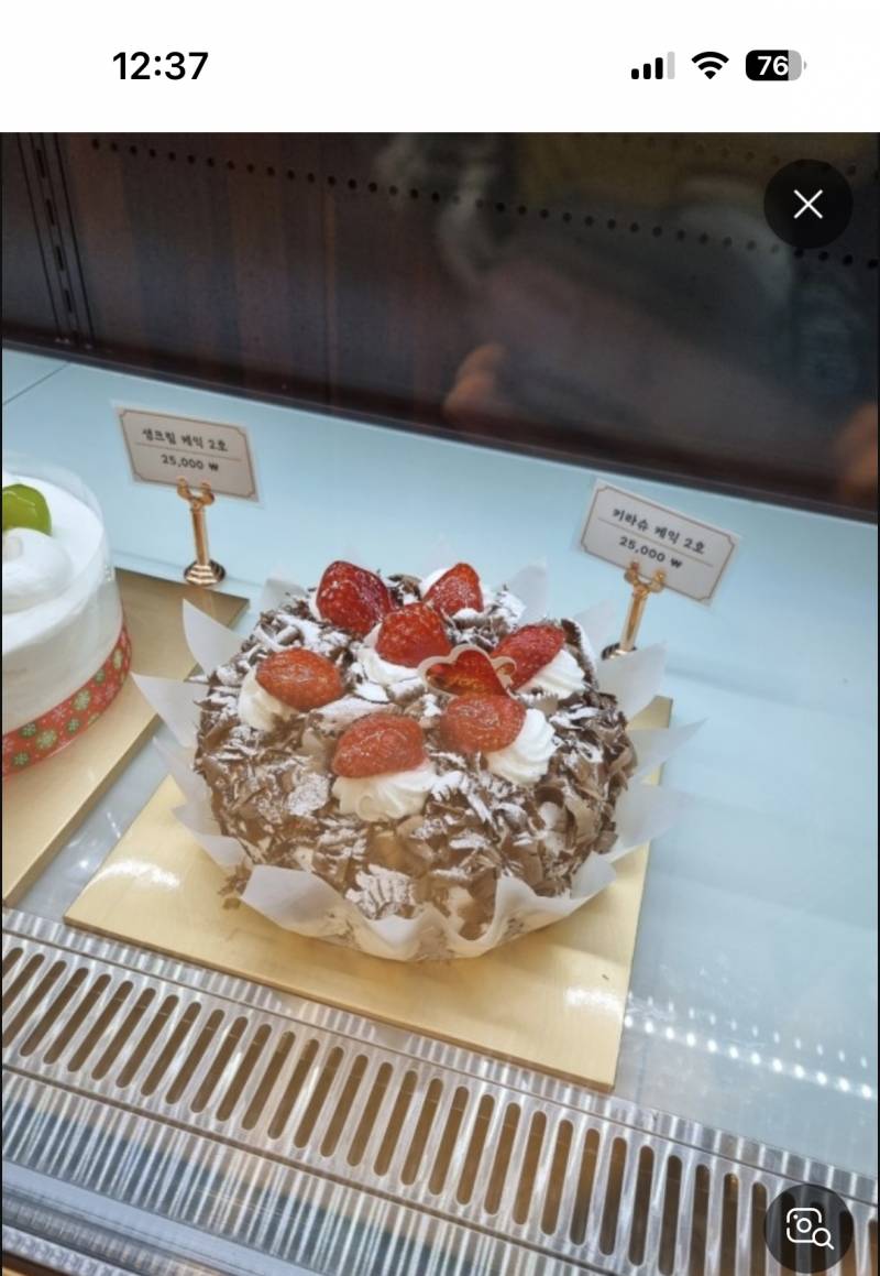[잡담] 이런 케이크는 어디 팔려나?? | 인스티즈