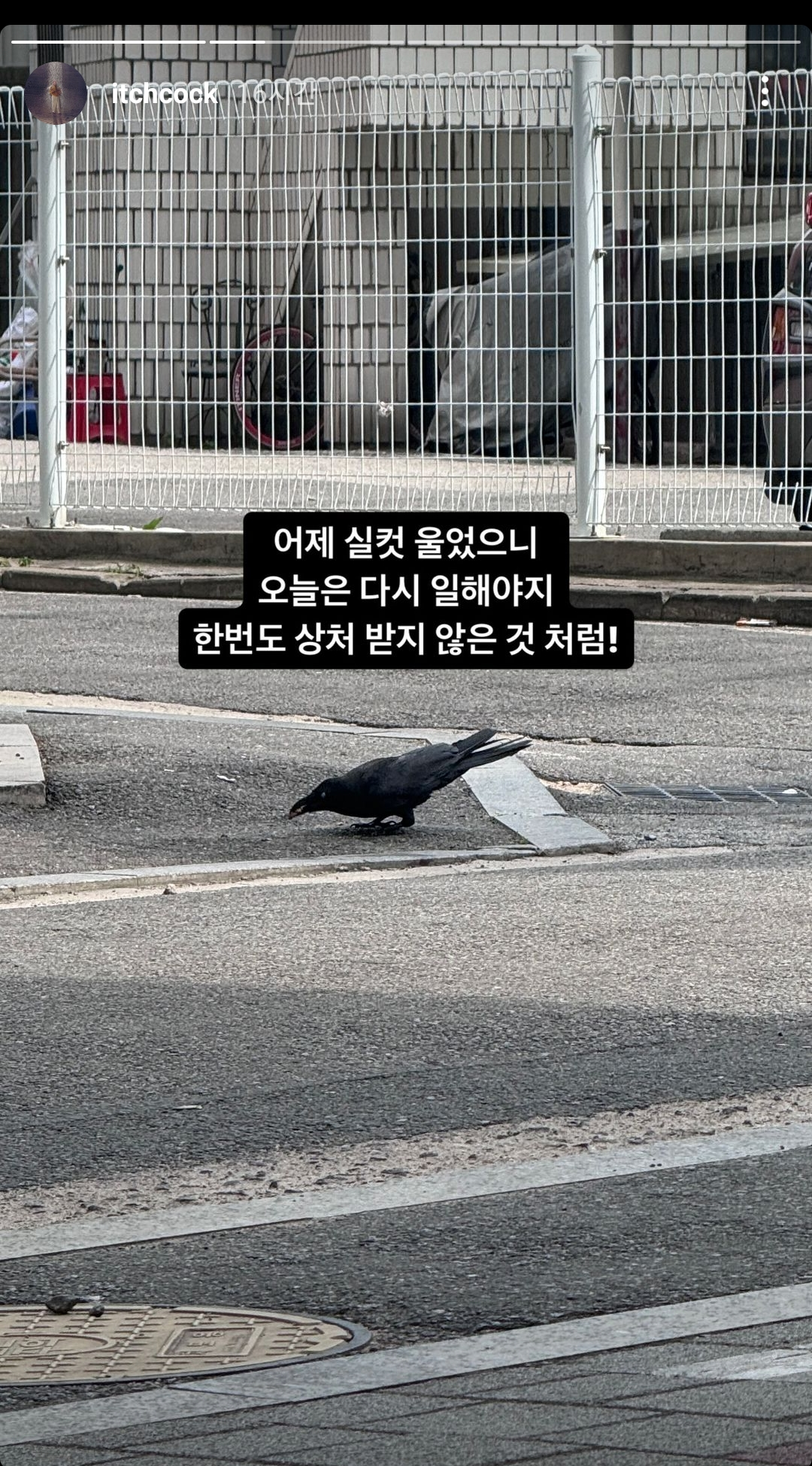 [잡담] 케이윌 뮤비감독 인스타가서 해명댓 달아야해ㅠ | 인스티즈