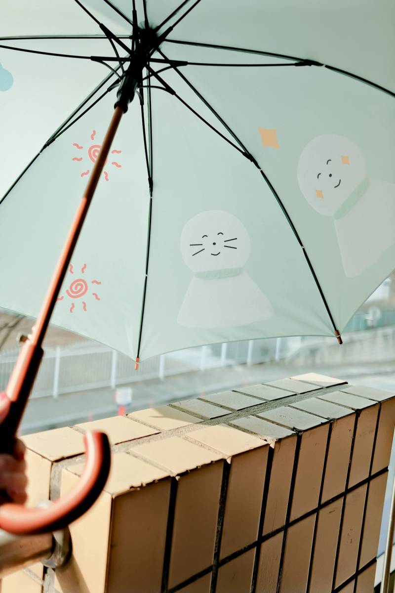 [잡담] 우양산 사기 vs 우산양산 따로 사기 | 인스티즈