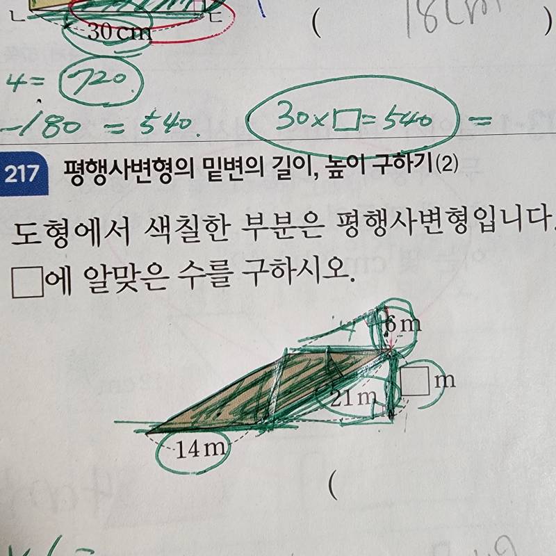 [잡담] 초등 학교 5학년 수학 질문 | 인스티즈