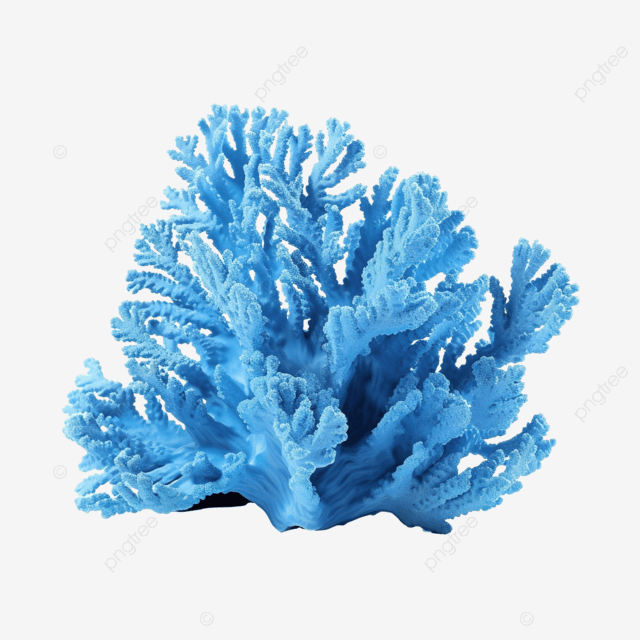 [잡담] 푸른산호초 보고갈 사람 | 인스티즈