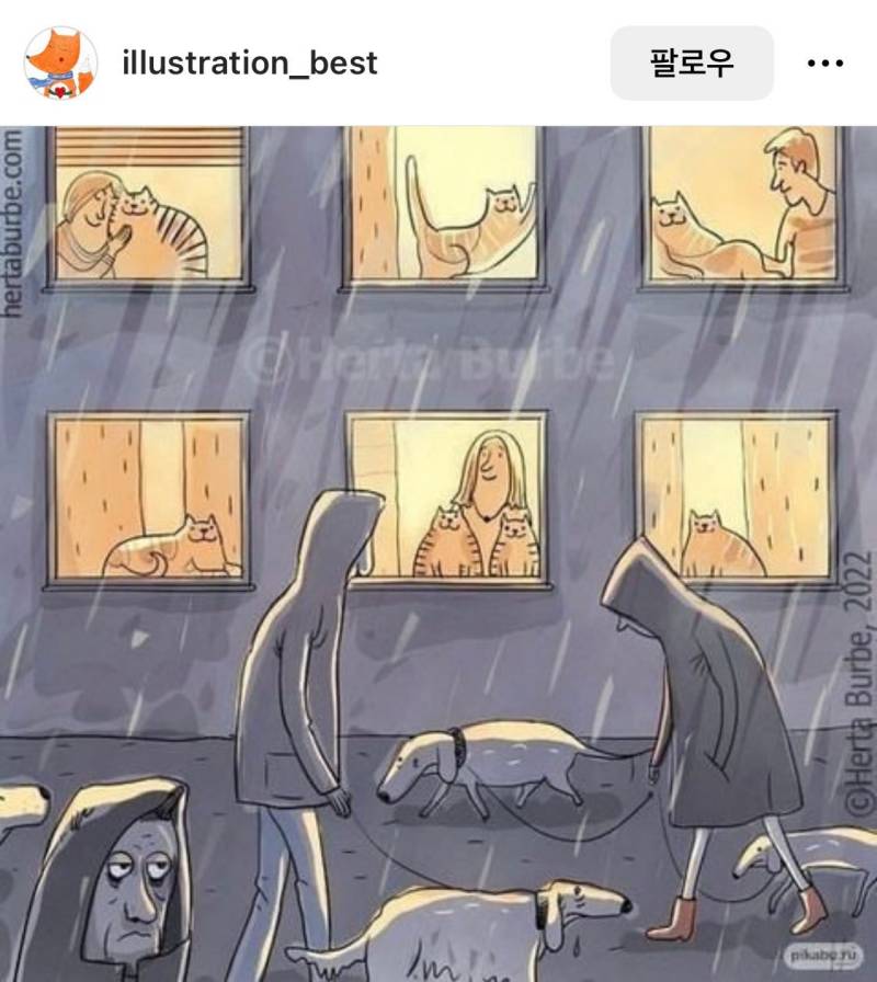 이 시각 비오는 지역 견주들 현황.jpg | 인스티즈