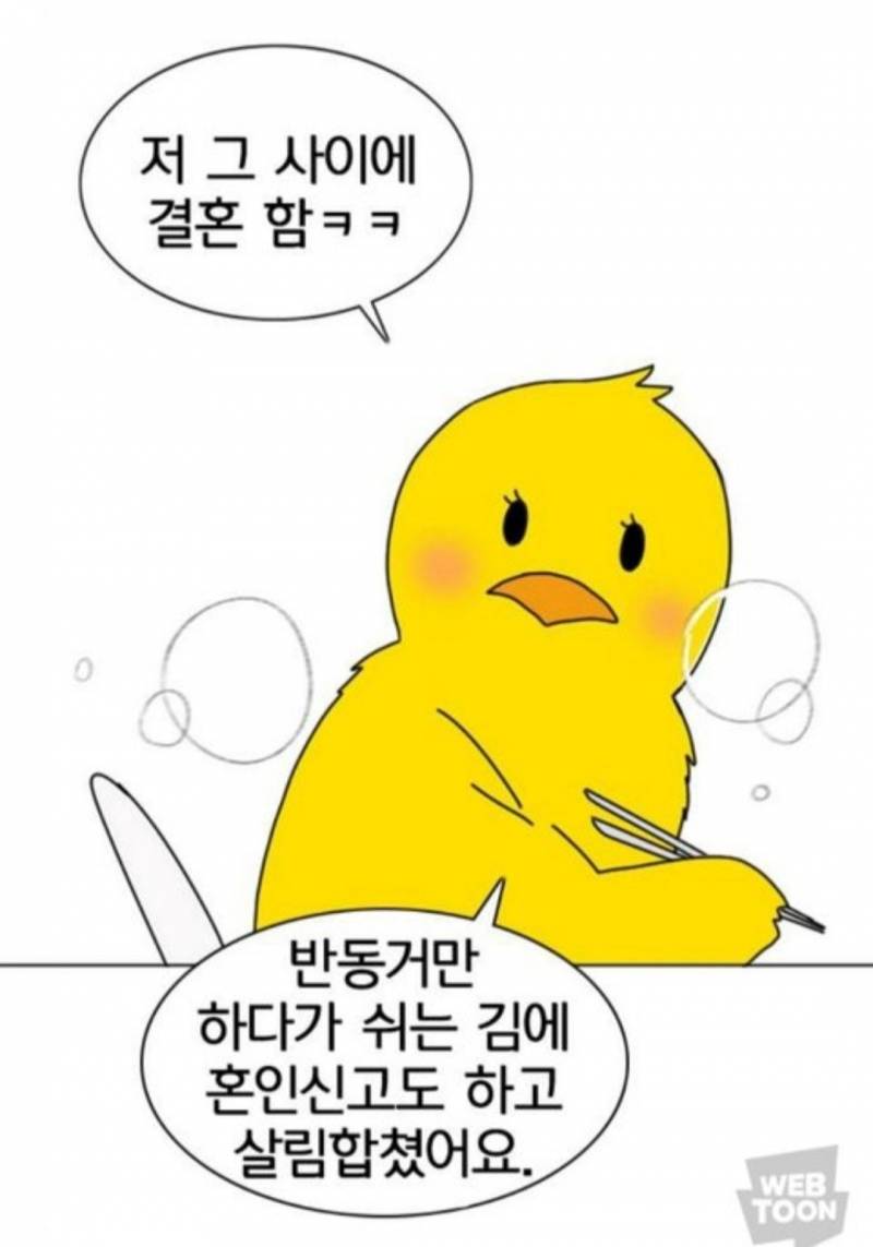 네이버 웹툰 연애혁명 작가 근황 | 인스티즈