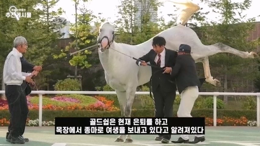 경마 역사상 원탑 또라이로 불리는 미친말 | 인스티즈