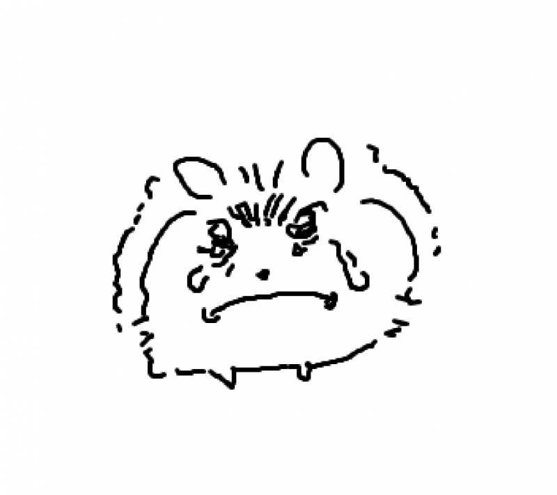 [잡담] 아 눈물나 | 인스티즈