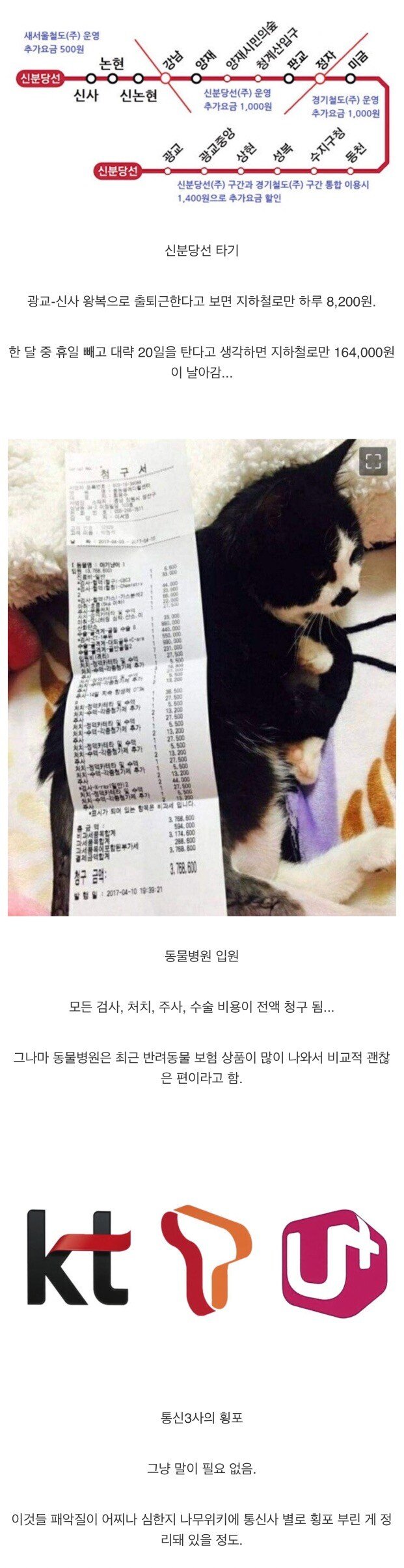 현재 한국에서 민영화 체험판이라는 것.JPG | 인스티즈
