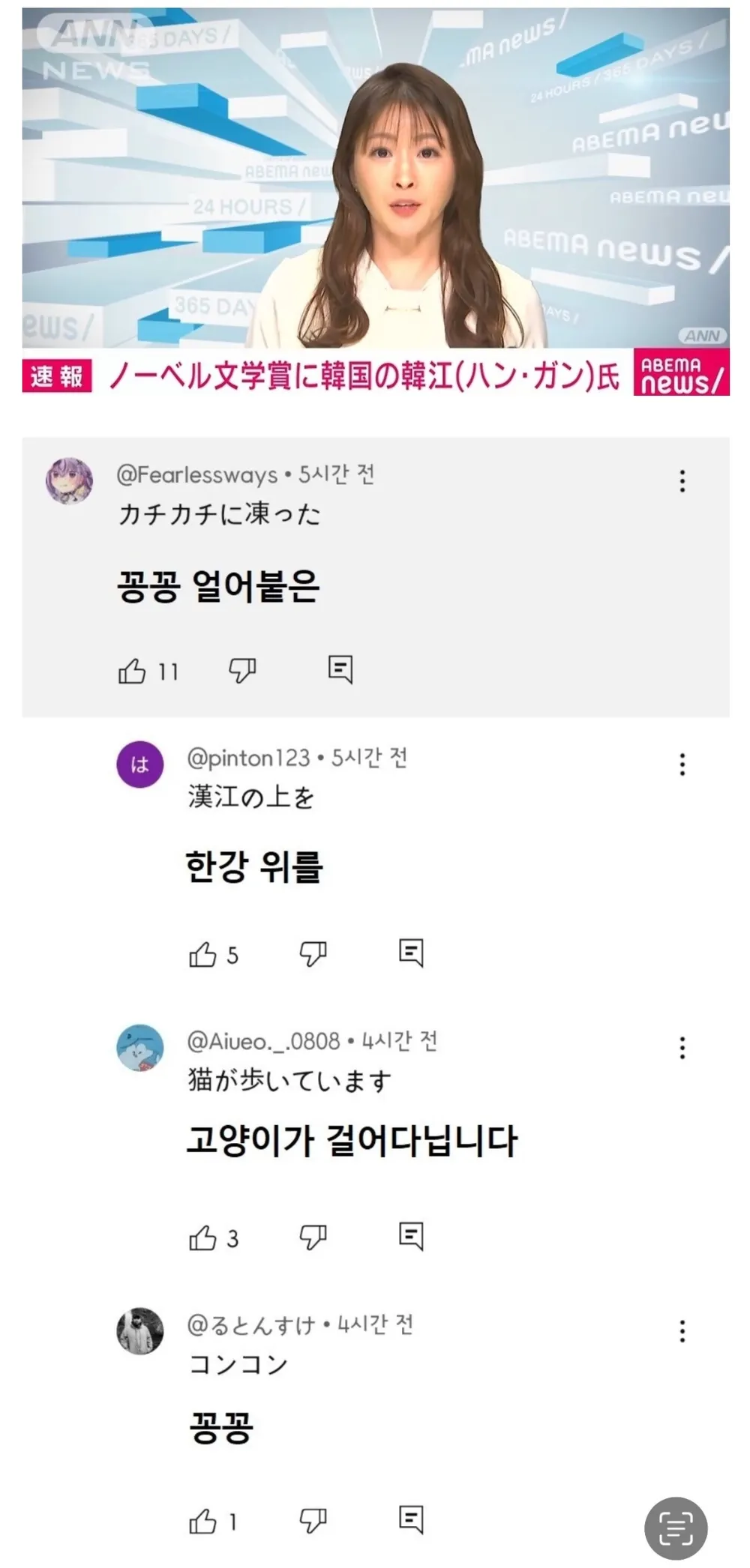 뭔가 이상한 한강 작가님 노벨상 일본 유튜브 댓글들 | 인스티즈