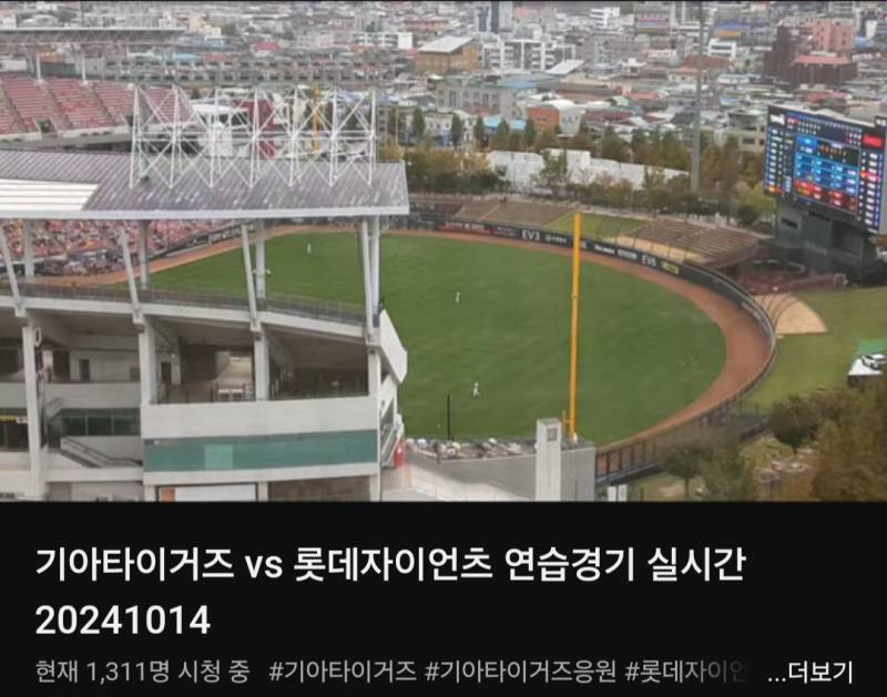 [잡담] 기롯 연경중계 비둘기뷰라고 하는거 웃기네 ㅋㅋㅋㅋㅋ | 인스티즈