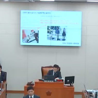 [잡담] 국정감사 과즙세연 뭐냐고 | 인스티즈