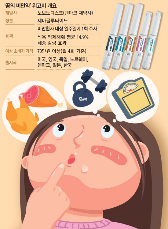 [잡담] 드디어 국내 출시된 뱃살약 '위고비'의 충격적인 부작용 | 인스티즈