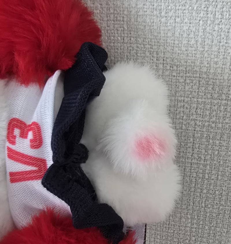 [잡담] 슈야 꼬리 원래 색있음? | 인스티즈