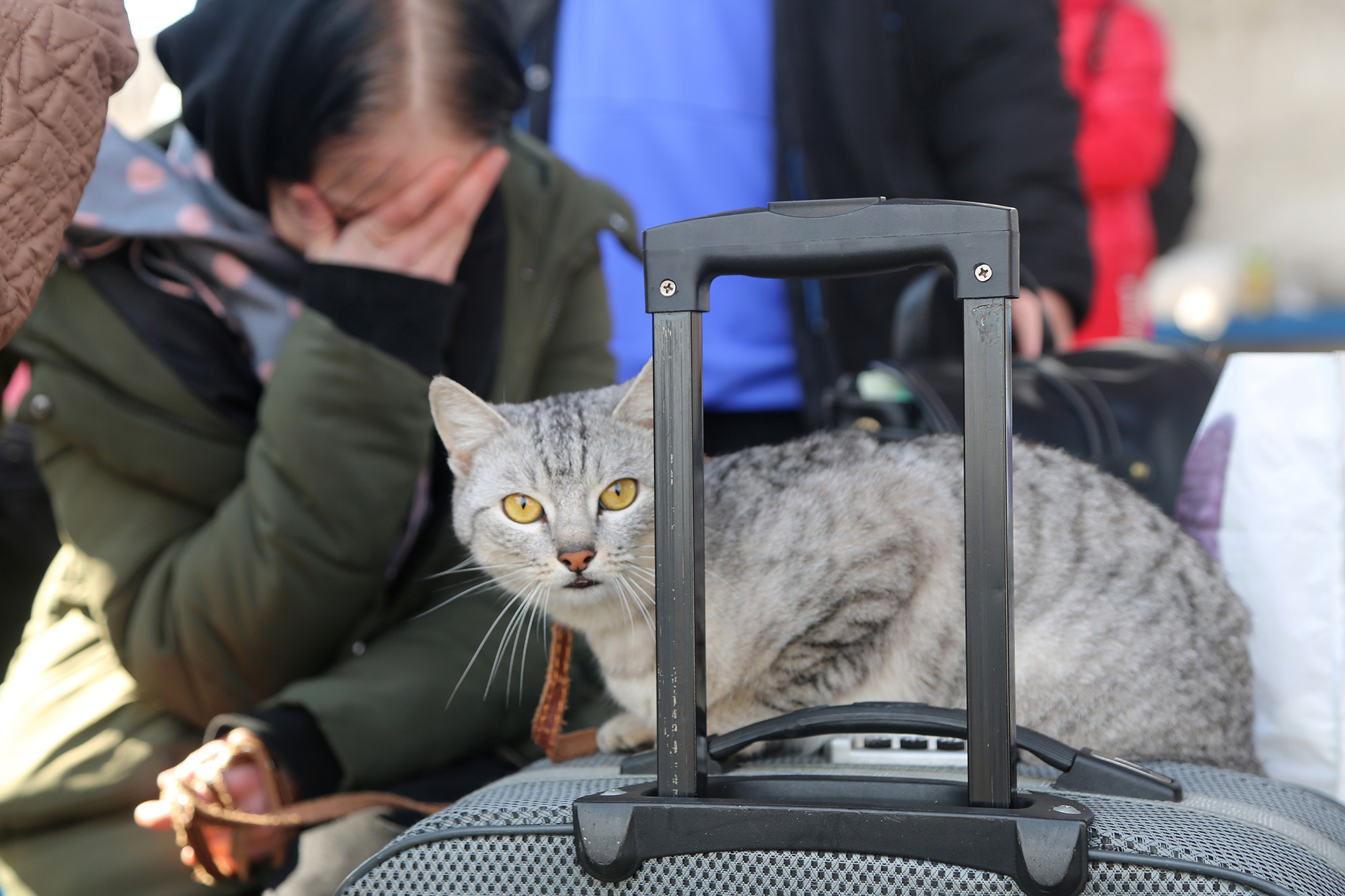 [잡담] 전쟁 피난가는 우크라이나 | 인스티즈