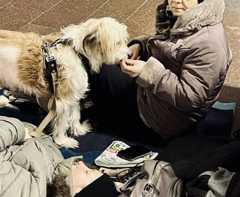 [잡담] 전쟁 피난가는 우크라이나 | 인스티즈