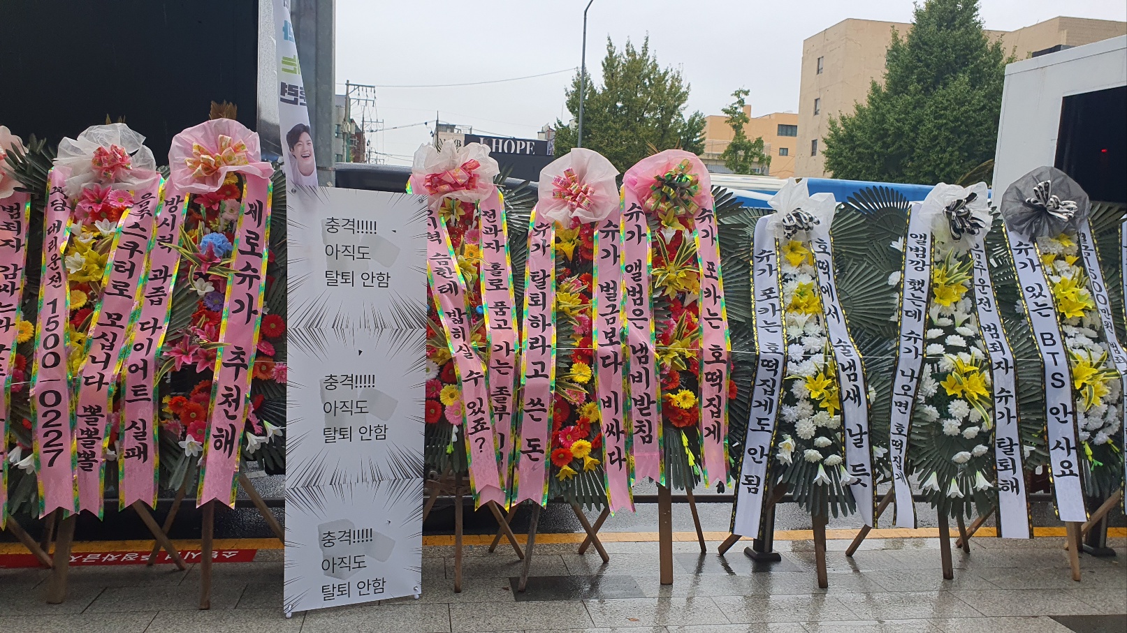 [정보/소식] 🌸슈가 탈퇴 꽃축제 3일차🌼 | 인스티즈
