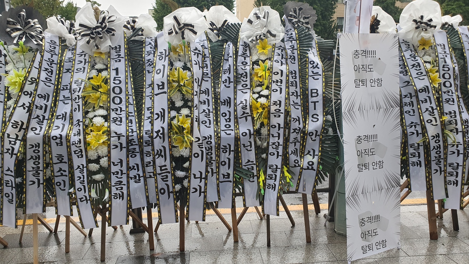[정보/소식] 🌸슈가 탈퇴 꽃축제 3일차🌼 | 인스티즈