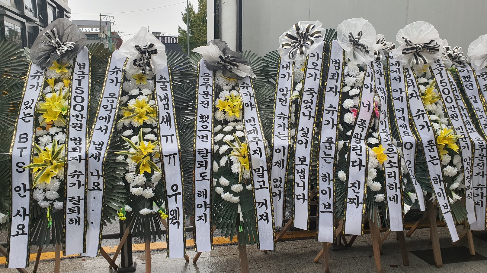 [정보/소식] 🌸슈가 탈퇴 꽃축제 3일차🌼 | 인스티즈