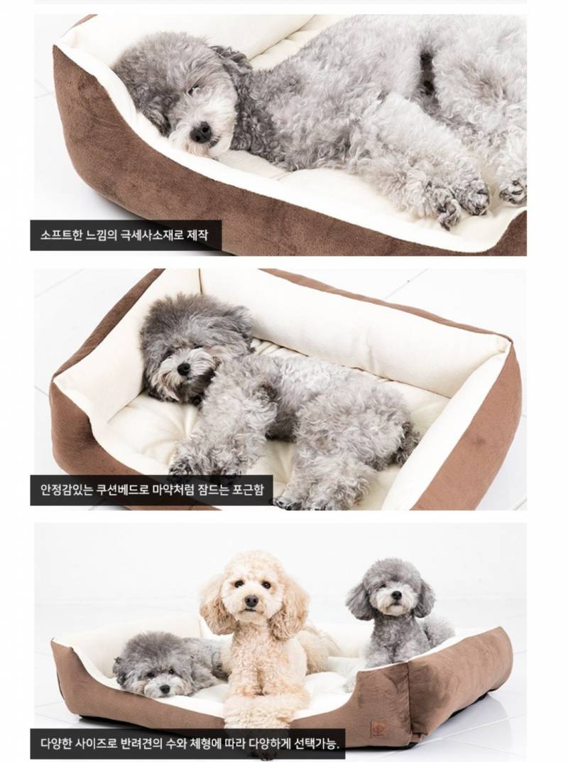 [잡담] 강아지 방석 사주려고 하는데 너네가 강아지라면 뭐가 좋을 거 같니 ! 골라줘 .. | 인스티즈