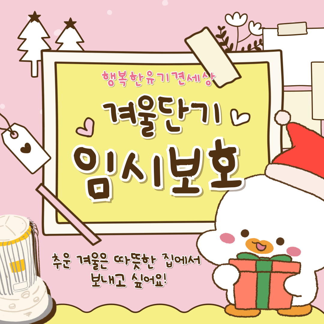 호달달 추운 겨울, 뜨끈말랑 강쥐랑 보내는 방법! 2024 행유세 피한임보 | 인스티즈
