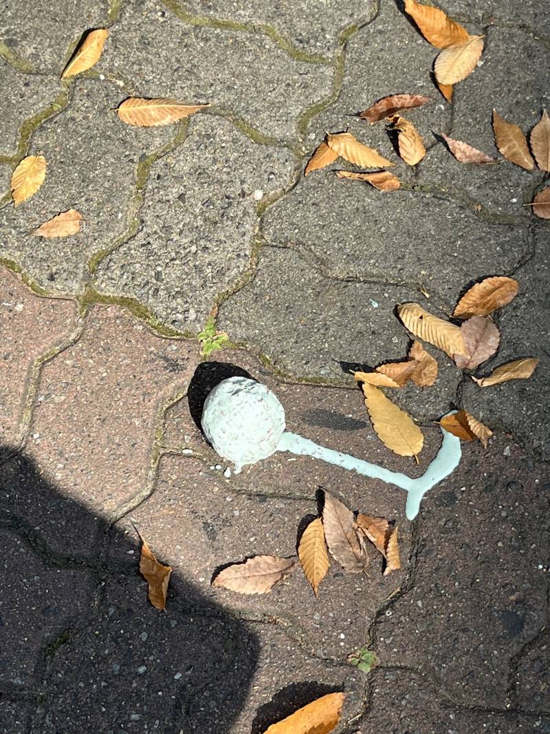 [잡담] 누가 길가다가 떨궜나봐..... | 인스티즈