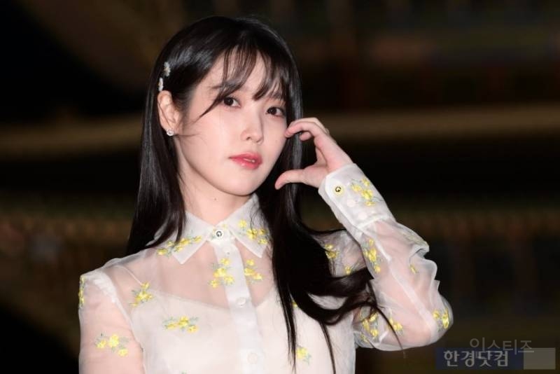 "아이유 악플러 잡고보니 중학교 동문"…충격 사실 공개 | 인스티즈