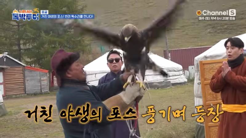 한화 야구 팬들 버튼 누른 김준호ㅋㅋㅋㅋ | 인스티즈