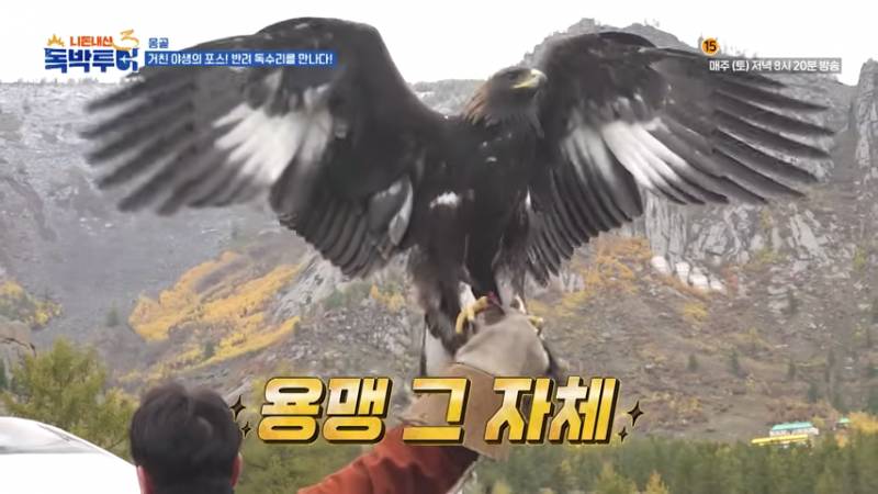 한화 야구 팬들 버튼 누른 김준호ㅋㅋㅋㅋ | 인스티즈