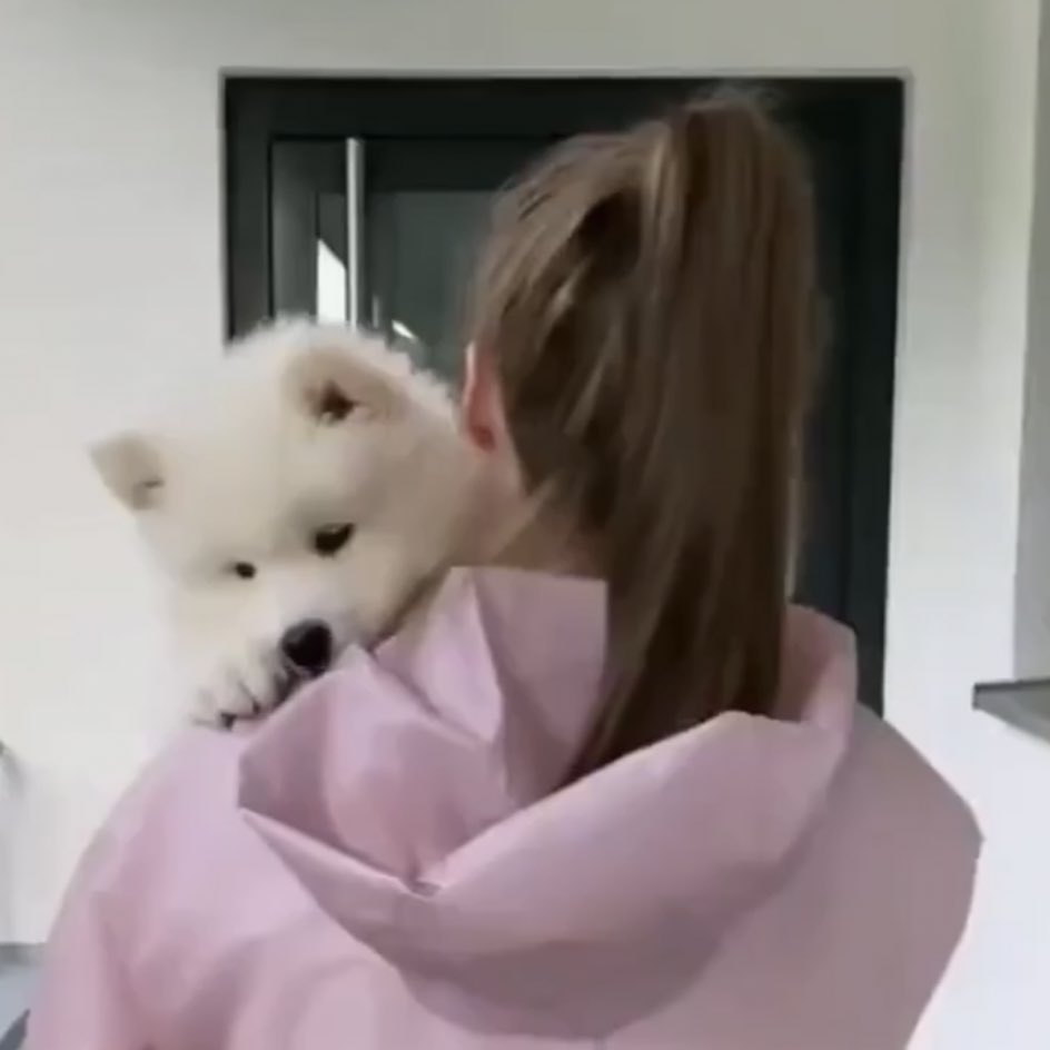 [잡담] 하,,,, 제노보고싶어 | 인스티즈