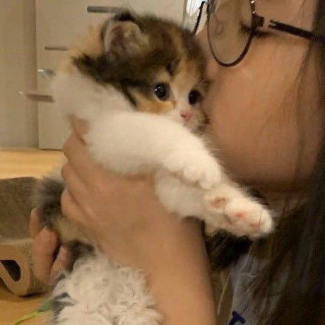 [잡담] 원빈이 사랑한 죄밖에 없는데 오늘 | 인스티즈