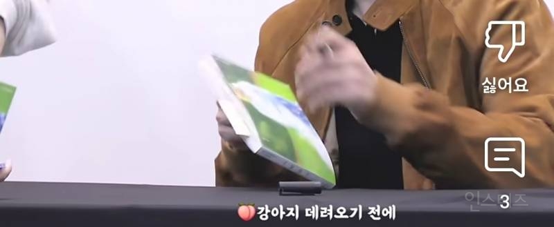 반려견 꼭 책임질 자신으로 데려오라고 조언하는 남돌.jpg | 인스티즈